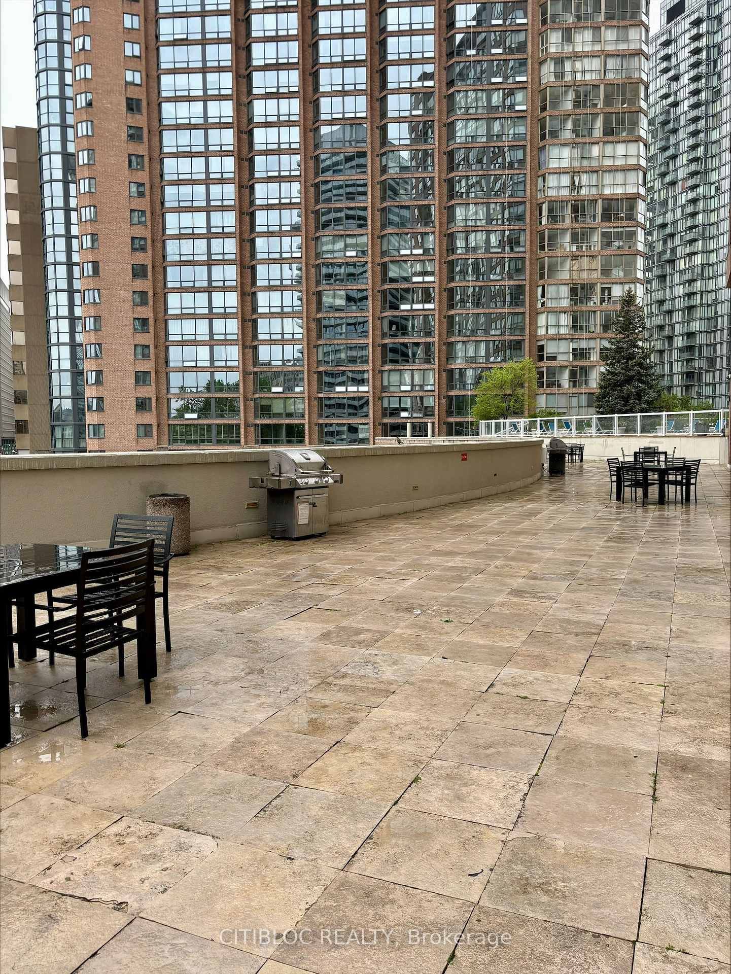 1033 Bay Street, Unit 306 - Photo 23