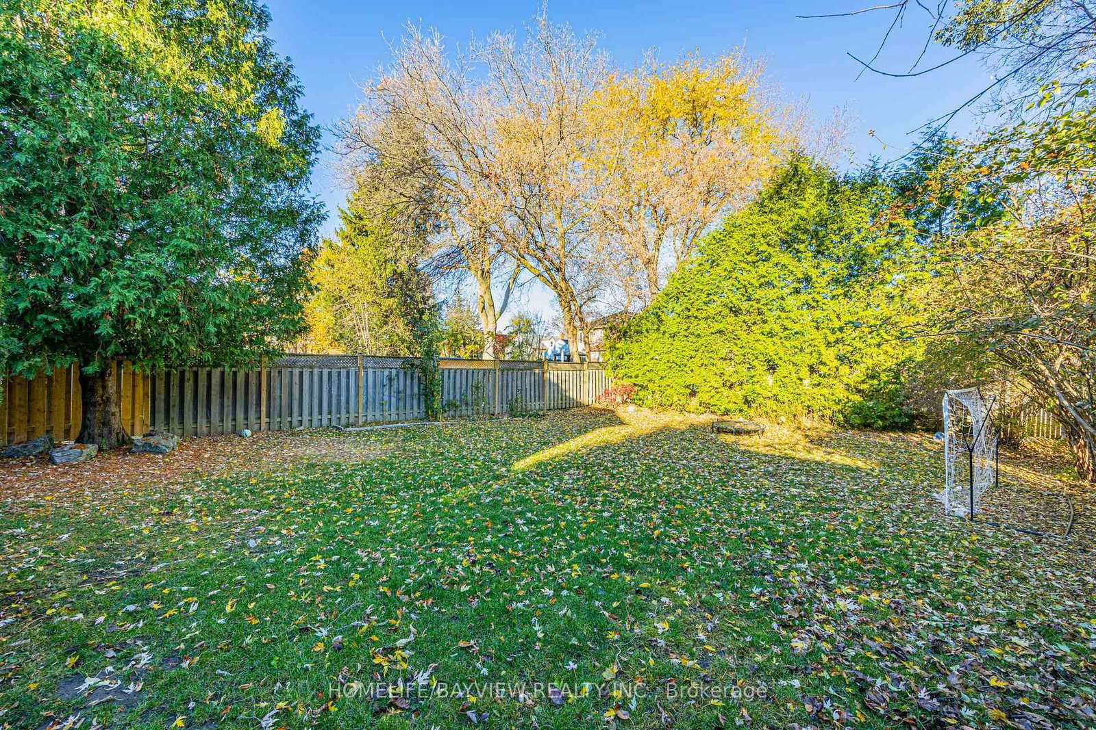 Listing Image 31