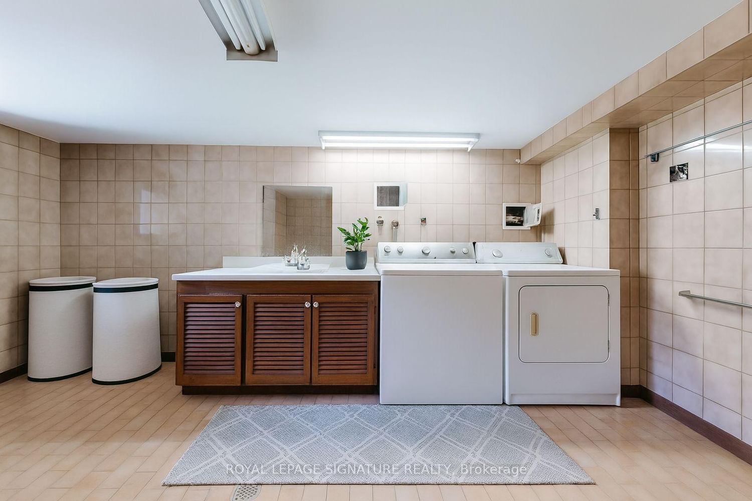 Lower - 247 Palmerston Avenue, Toronto 5