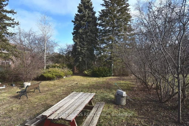 Back - 319 Senlac Road