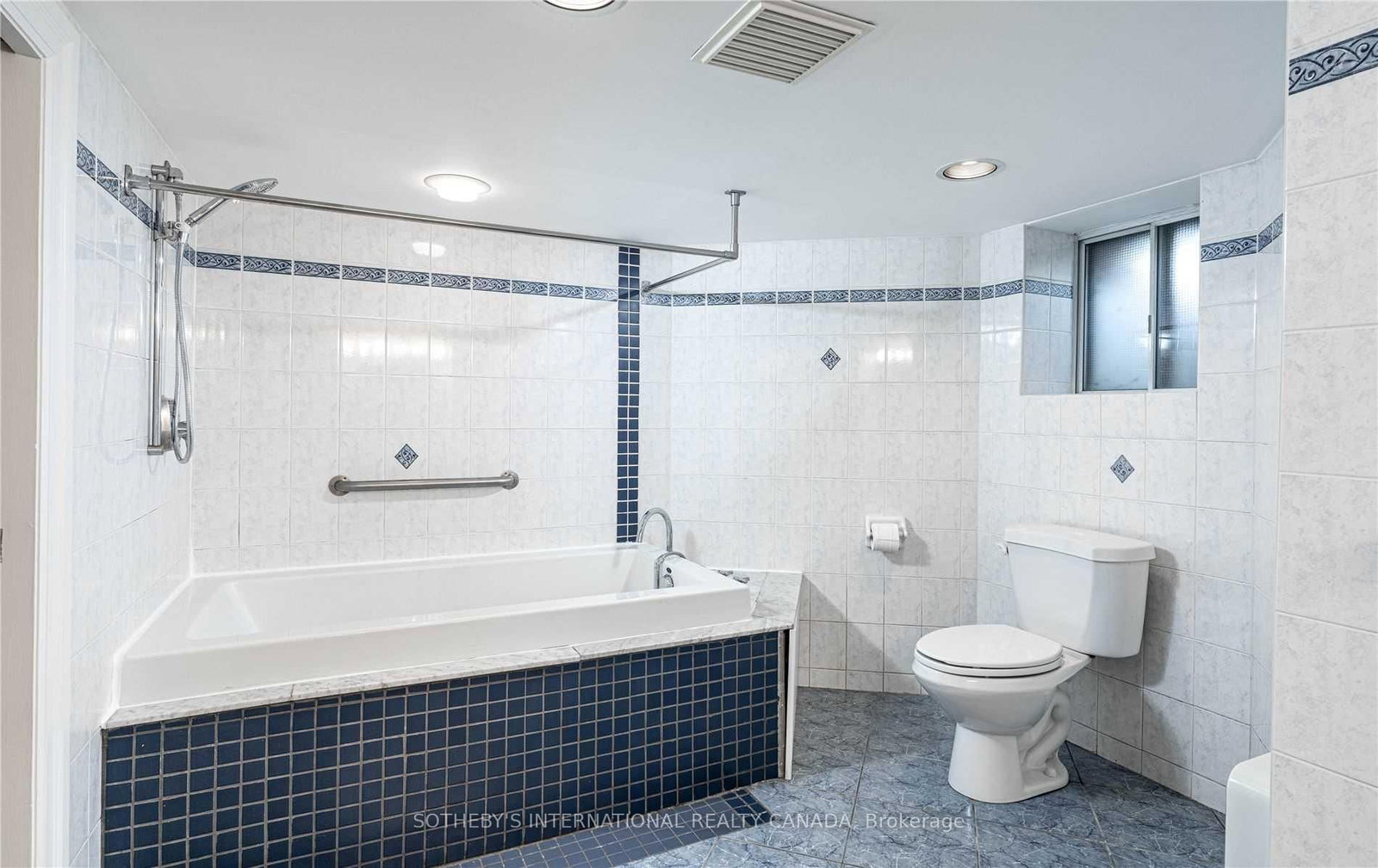 Lower - 213 Shaw Street, Toronto 5