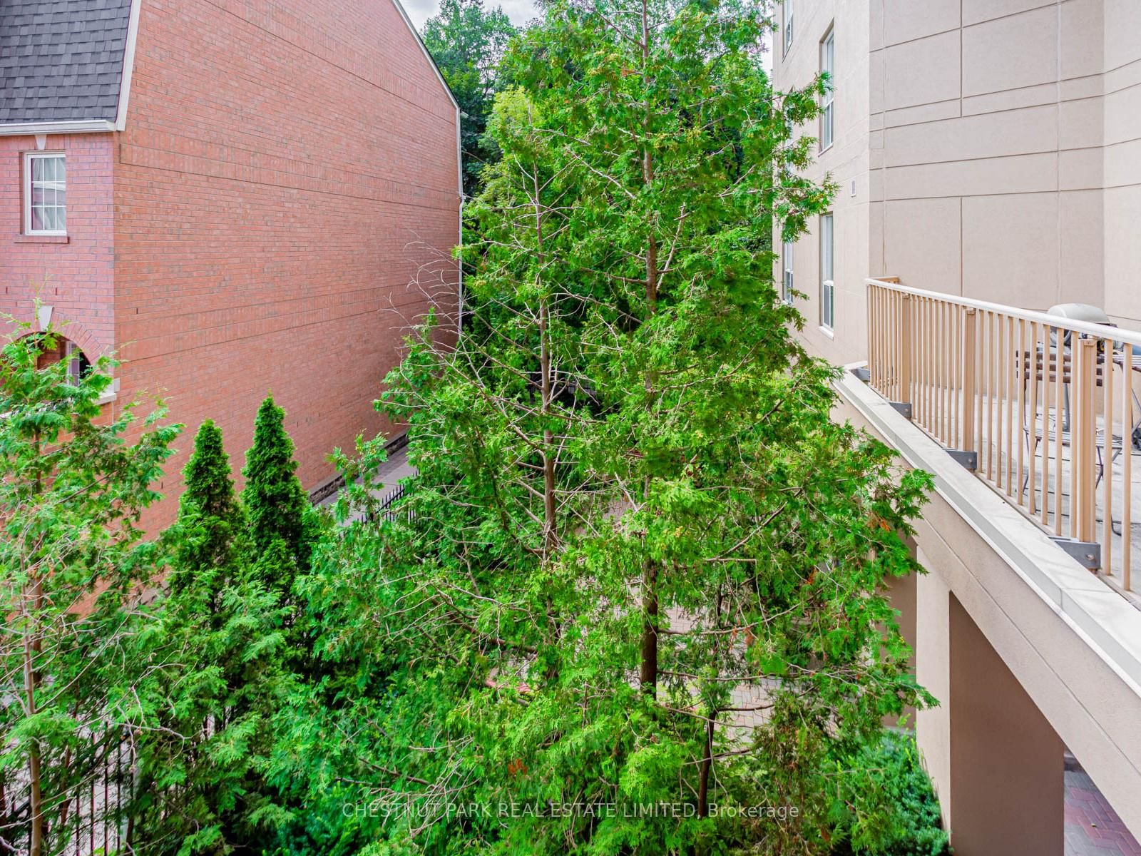 139 Merton Street • #246 • Toronto, ON photo 20