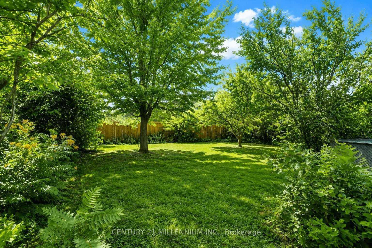 169 Ranee Avenue • Toronto, ON photo 24