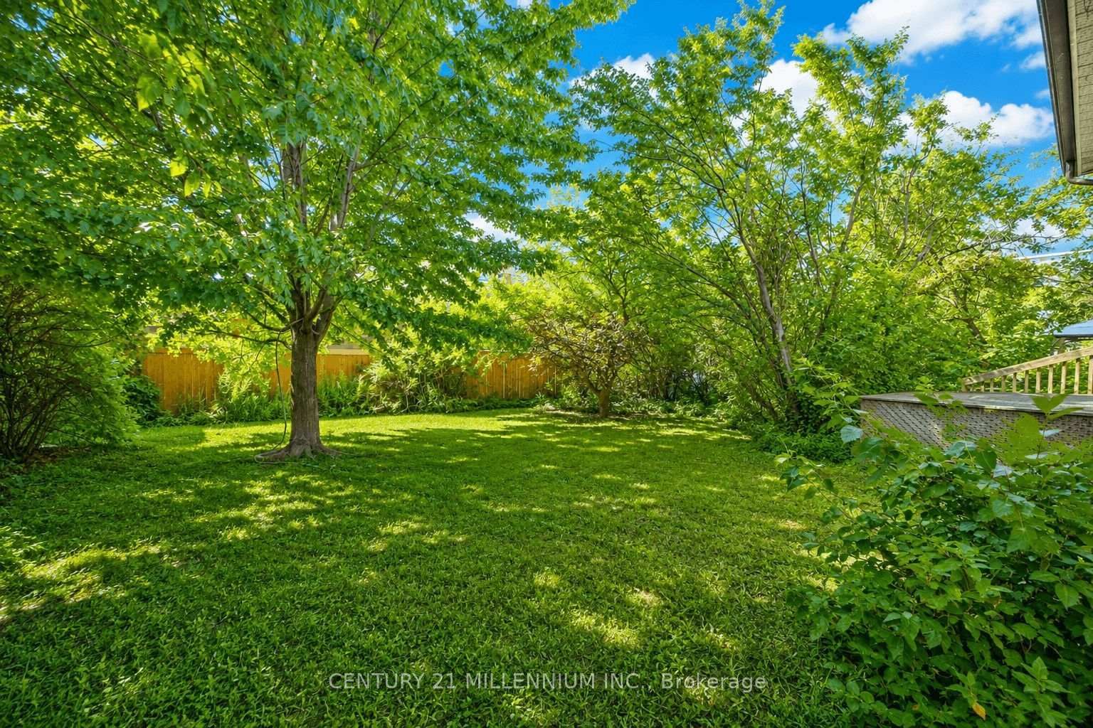 169 Ranee Avenue • Toronto, ON photo 26