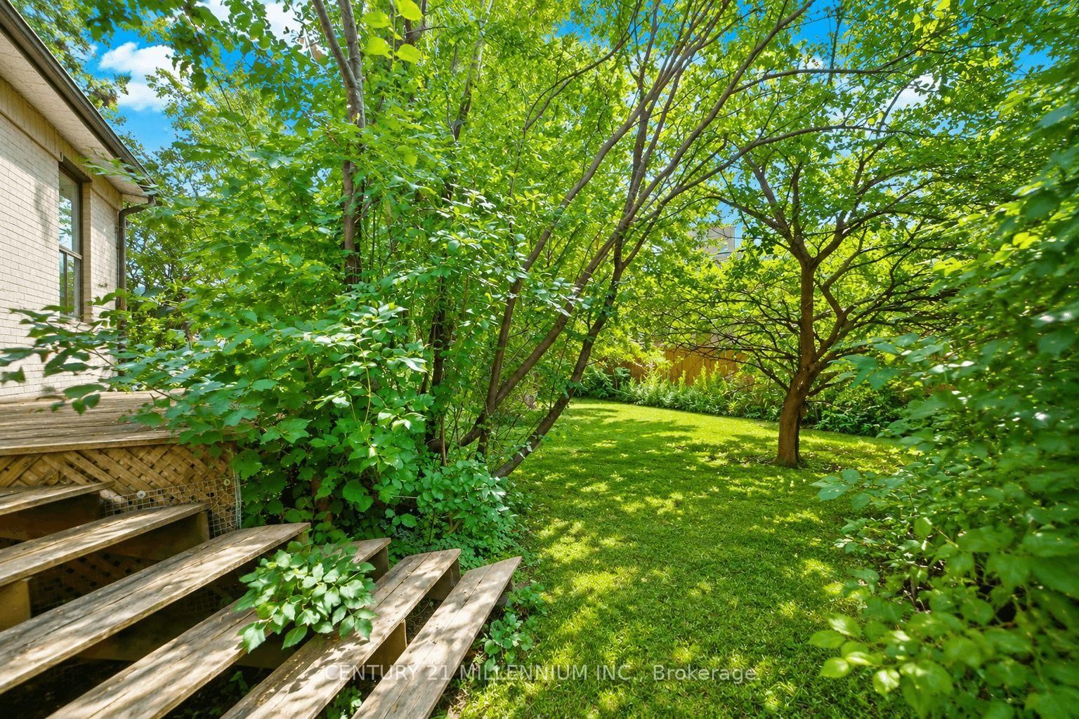 169 Ranee Avenue • Toronto, ON photo 29