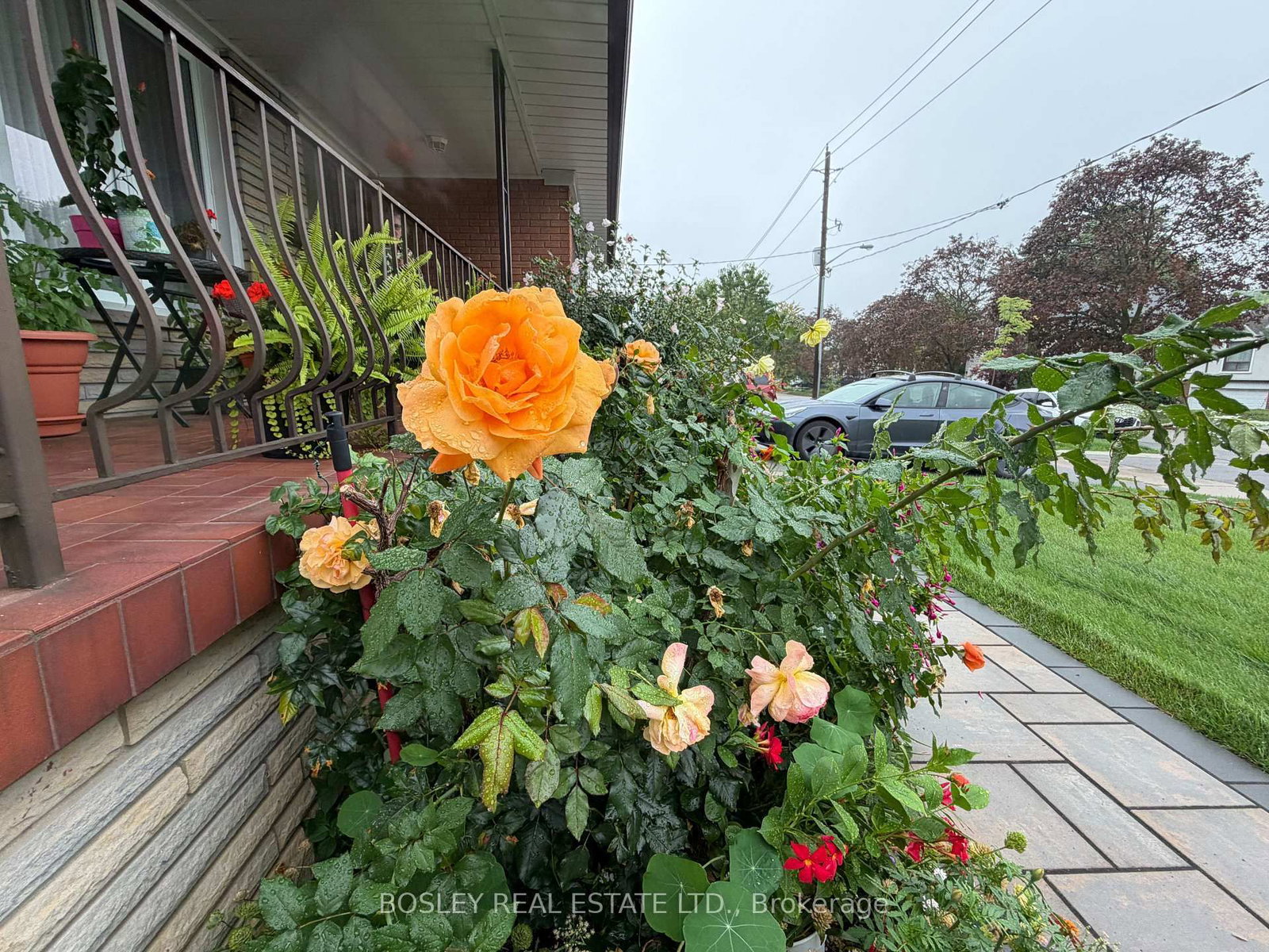 Lower-63 Ernest Ave, Toronto, view 33