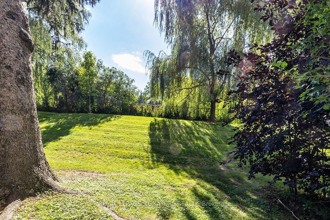 62 Thorny Vineway • Toronto, ON photo 14