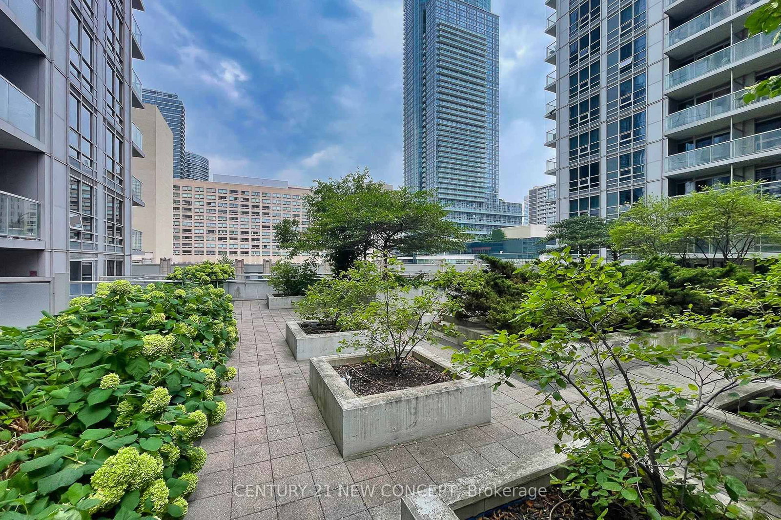 761 Bay Street • #404 • Toronto, ON photo 16