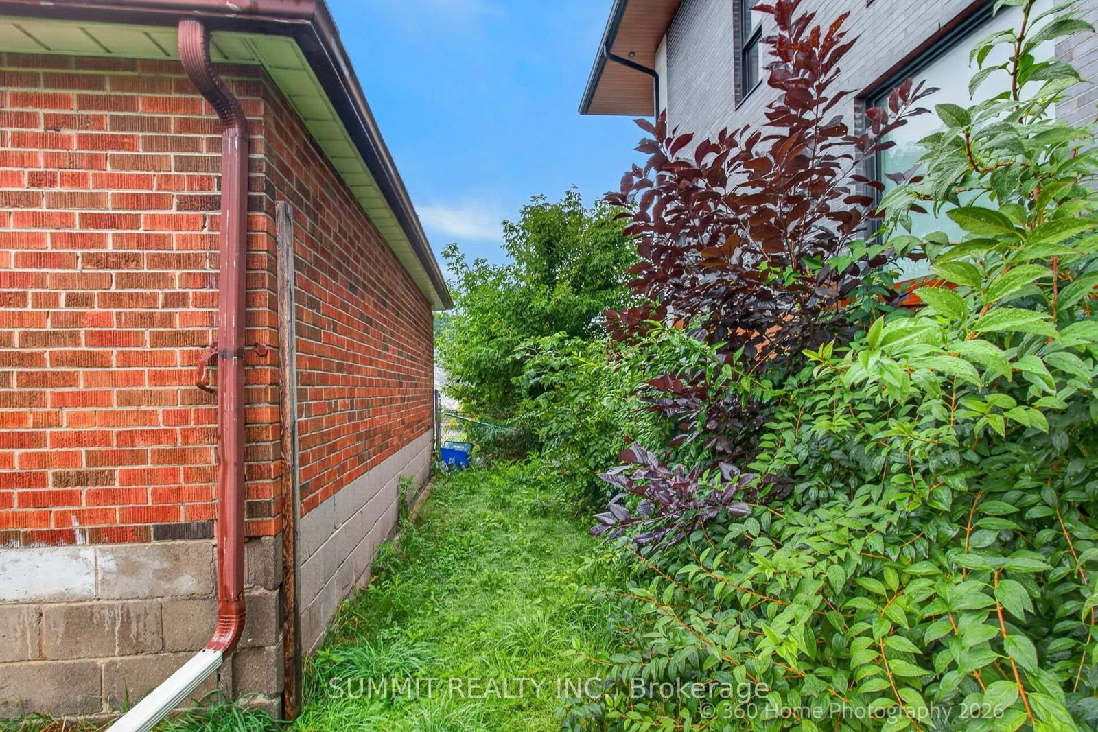 11 Faith Avenue • Toronto, ON photo 11