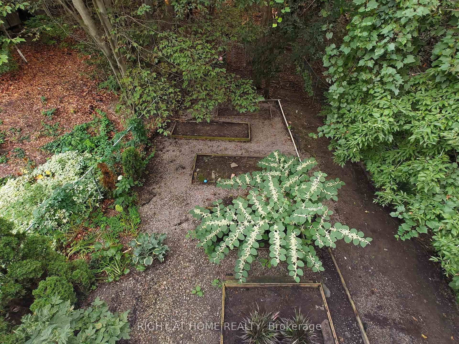 386 Rosewell Avenue • Toronto, ON photo 40