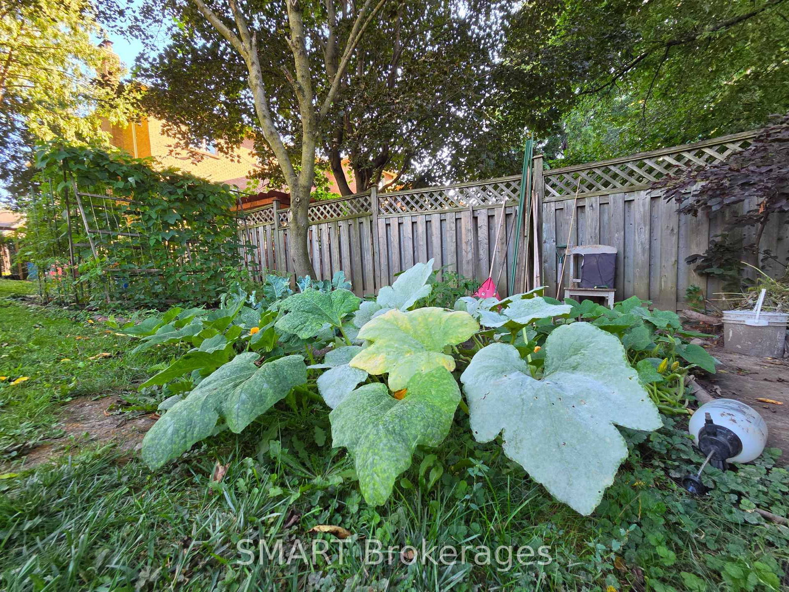 482 Ruth Avenue • Toronto, ON photo 32
