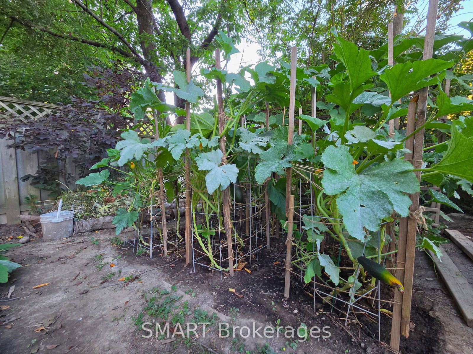 482 Ruth Avenue • Toronto, ON photo 33