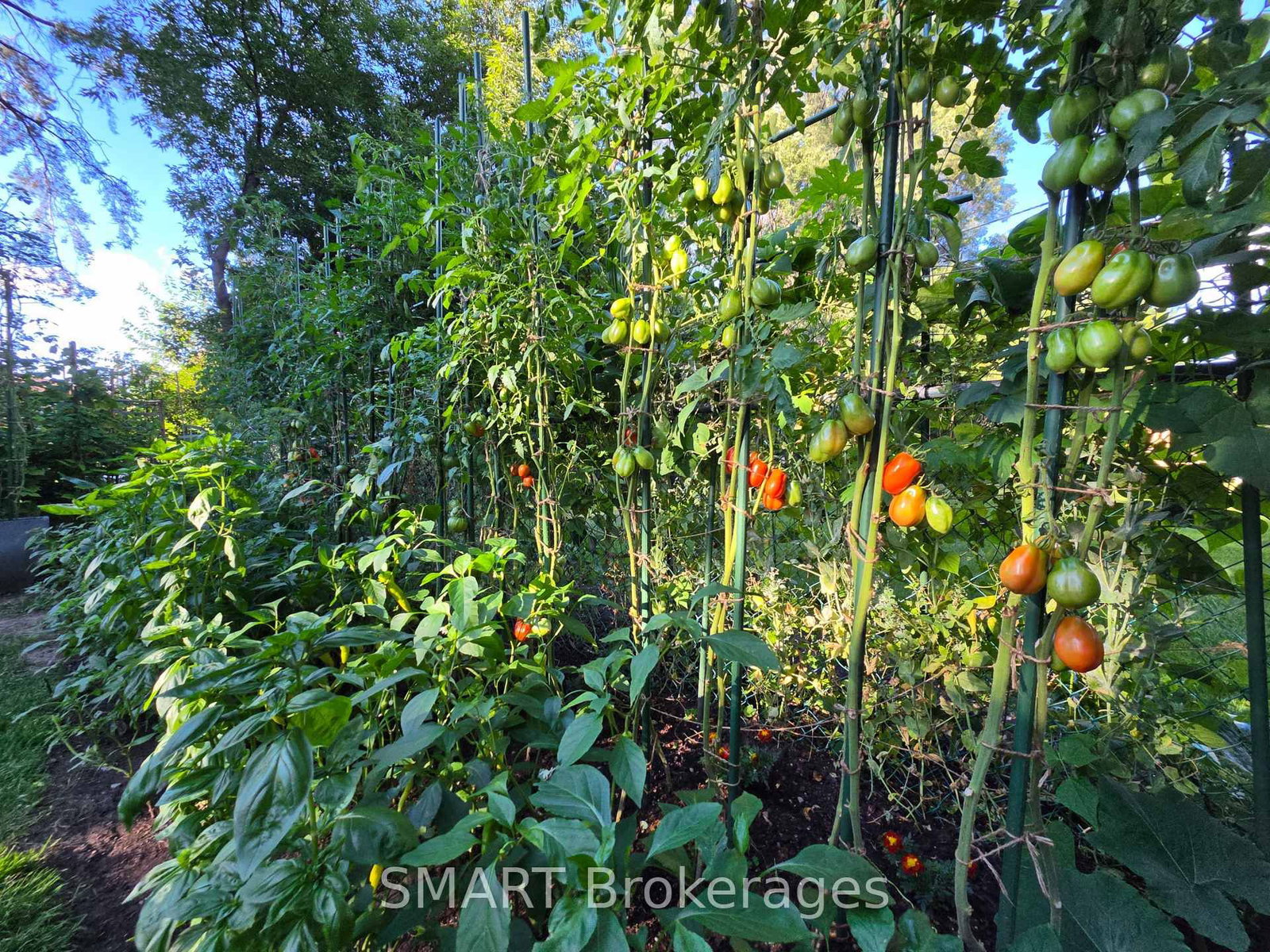482 Ruth Avenue • Toronto, ON photo 34