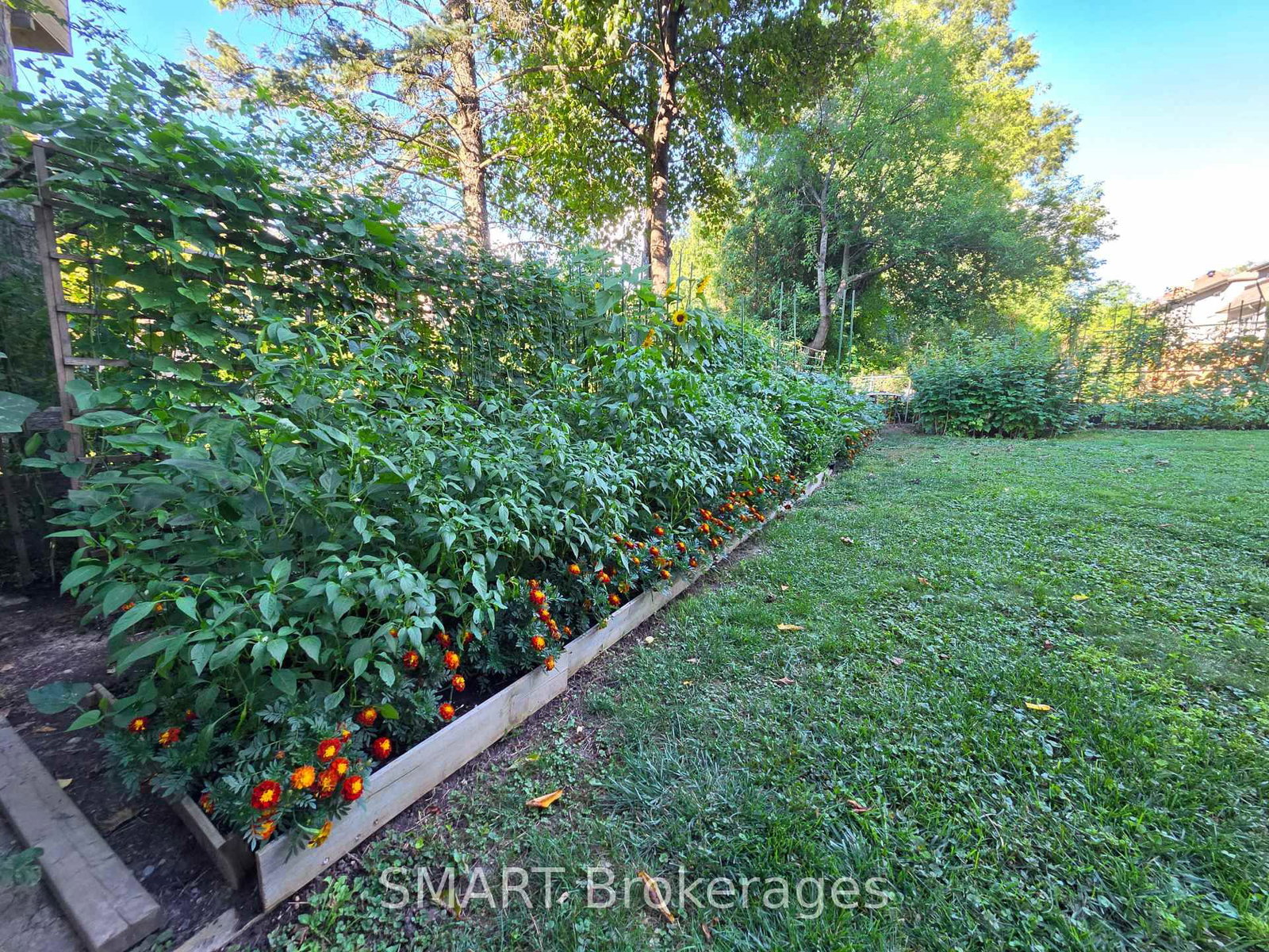 482 Ruth Avenue • Toronto, ON photo 35