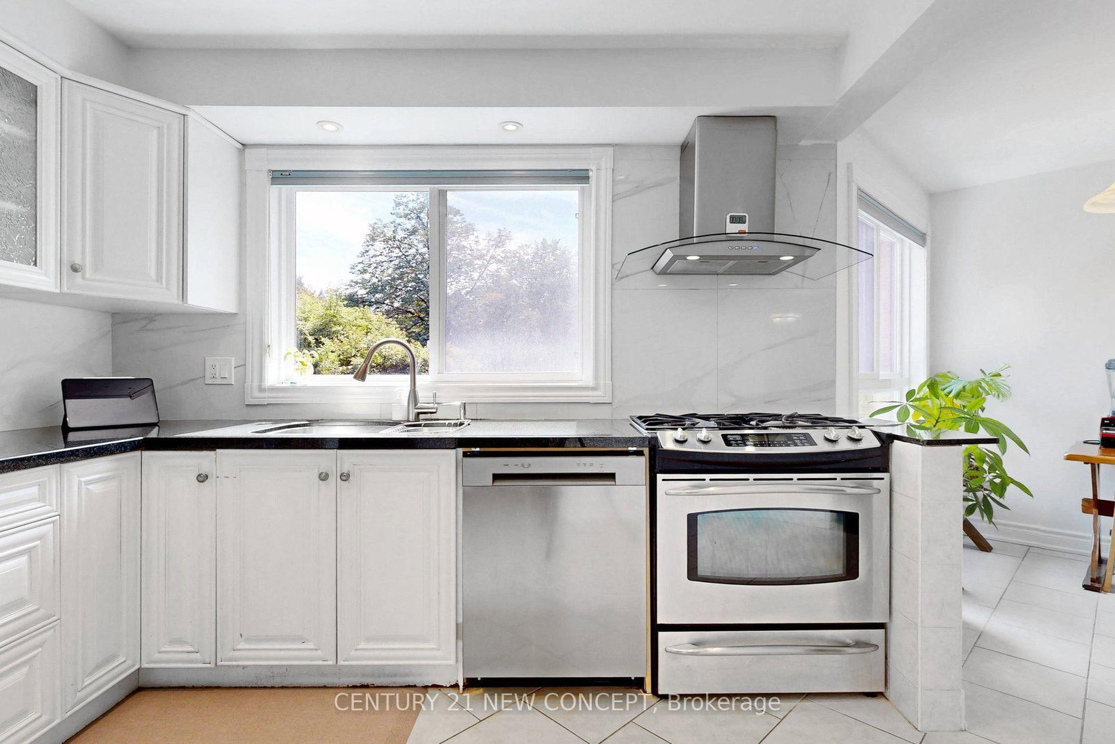 58 Paul Markway • Toronto, ON photo 12