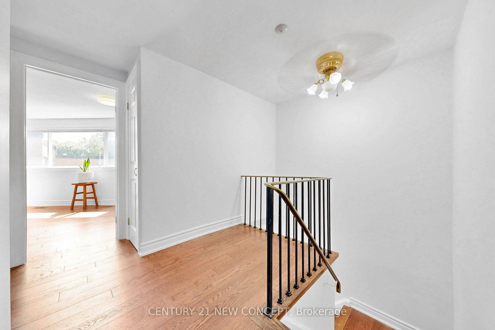 58 Paul Markway • Toronto, ON photo 16