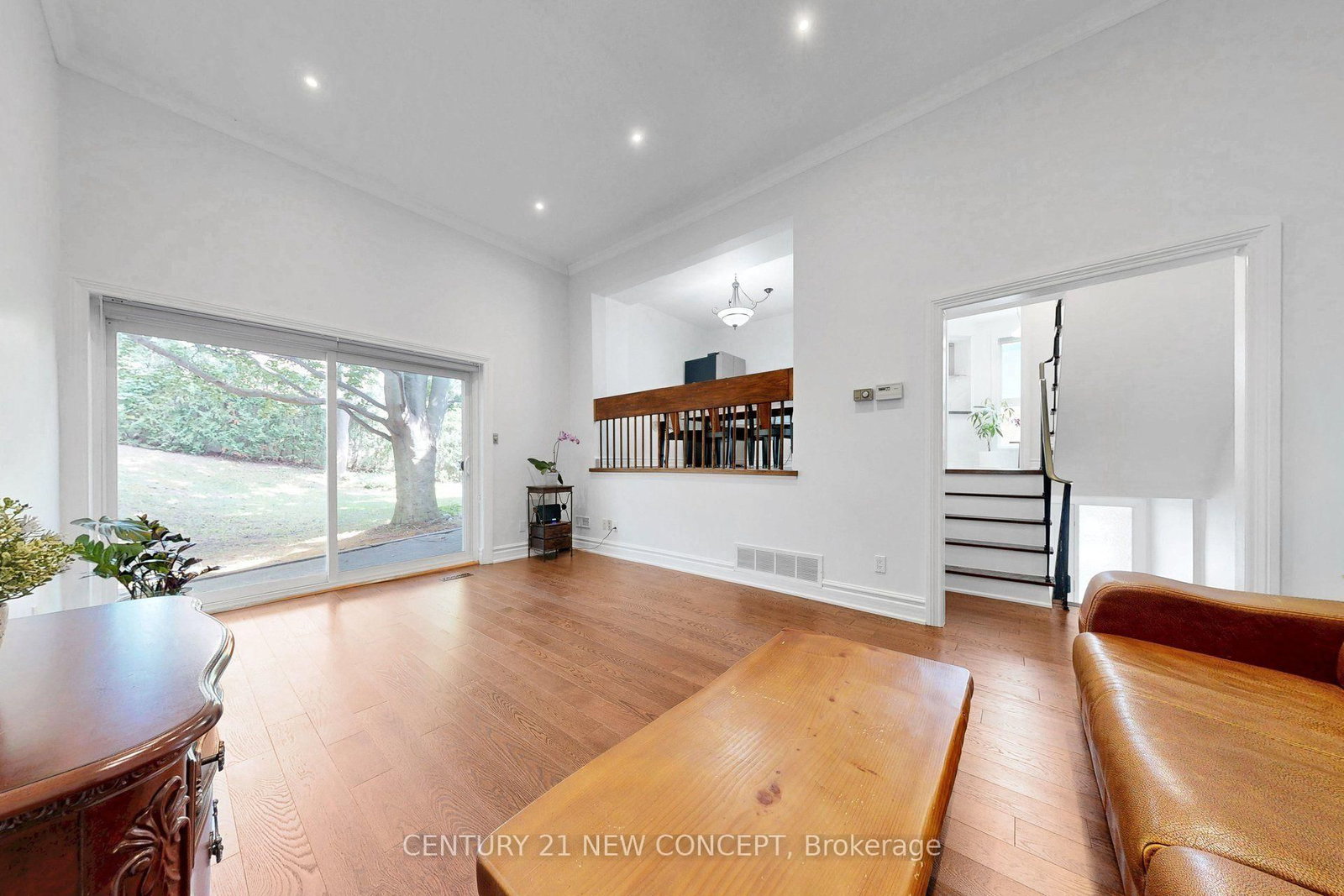 58 Paul Markway • Toronto, ON photo 5