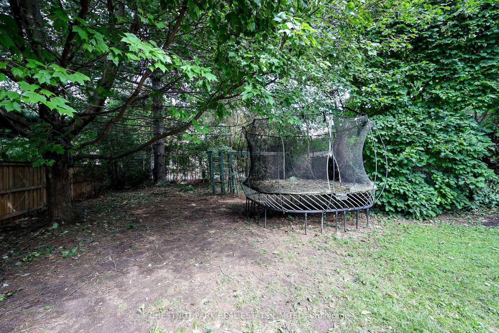 98 St. Leonards Avenue • Toronto, ON photo 38