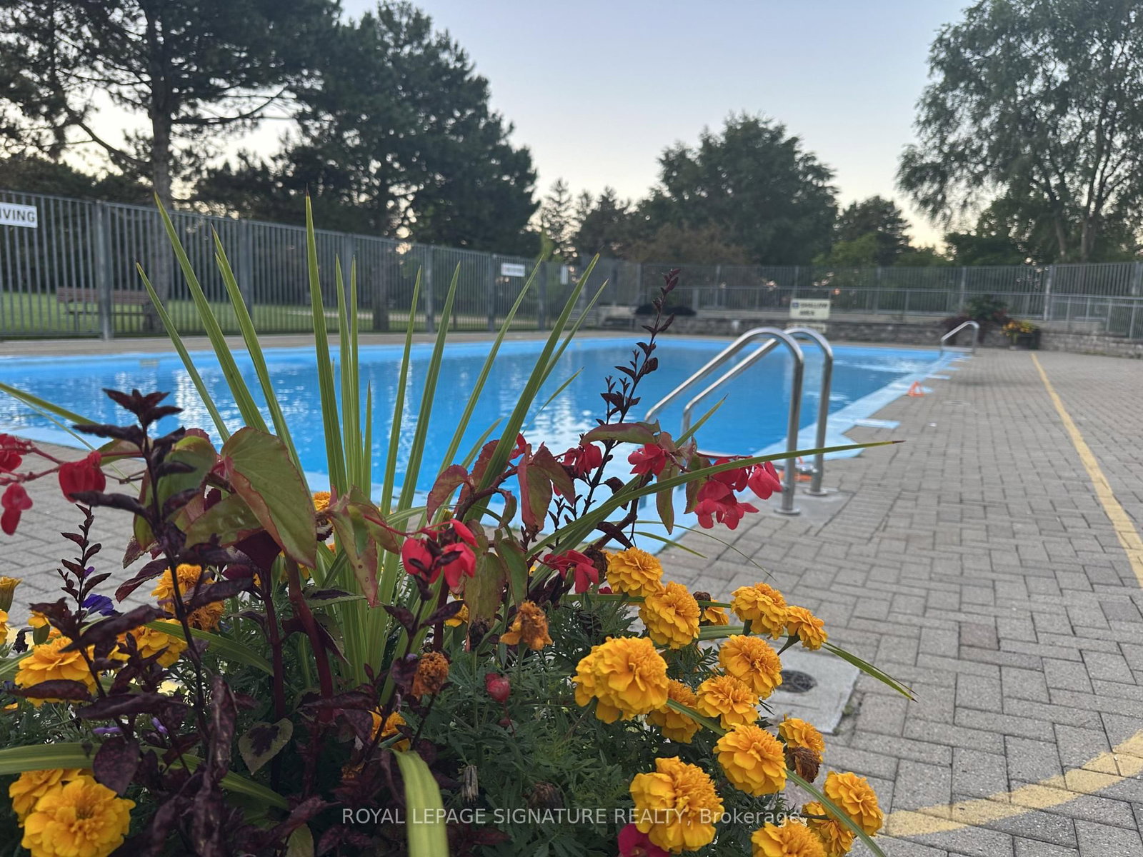 73 Castlegrove Boulevard • Toronto, ON photo 10