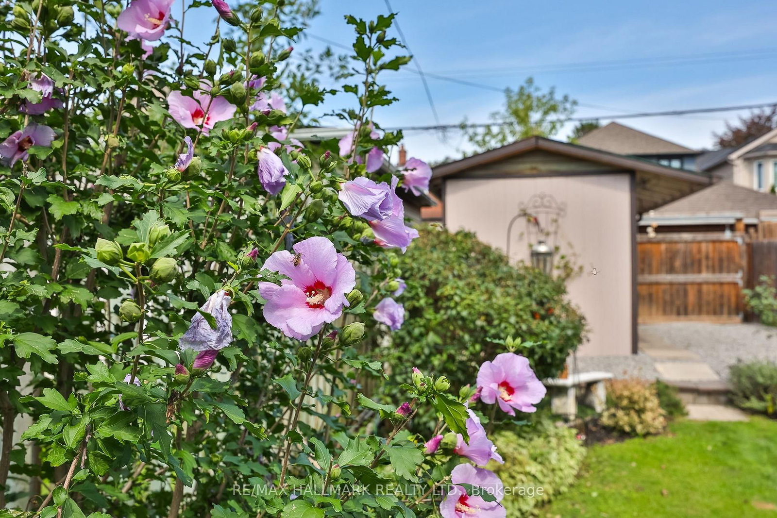 278 Woburn Avenue • Toronto, ON photo 37