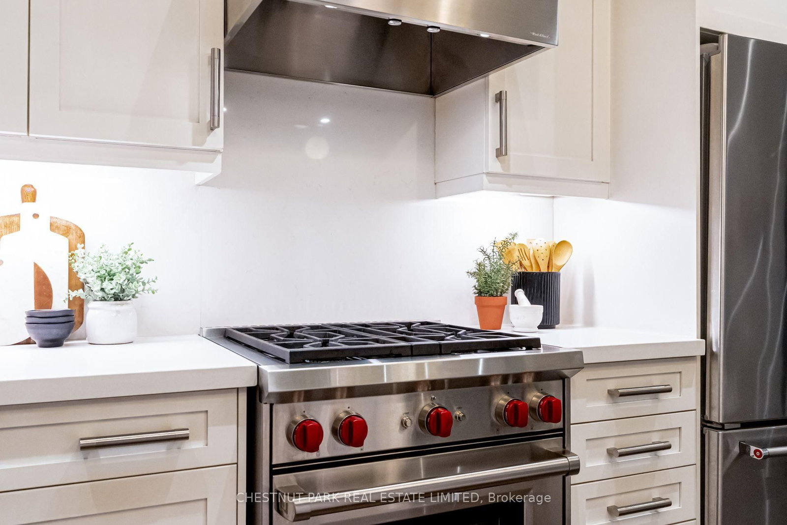 209 Atlas Avenue • Toronto, ON photo 9