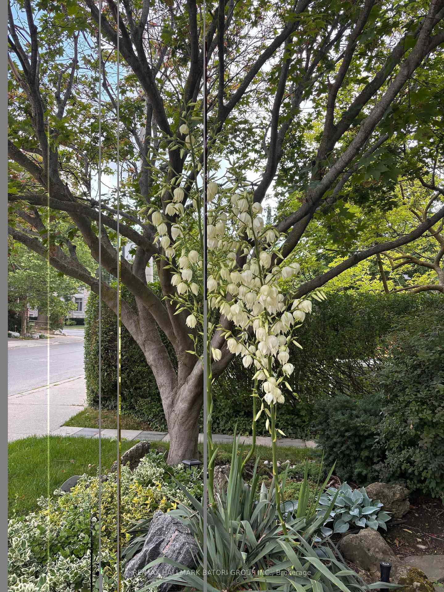 166 Old Orchard Grove • Toronto, ON photo 34