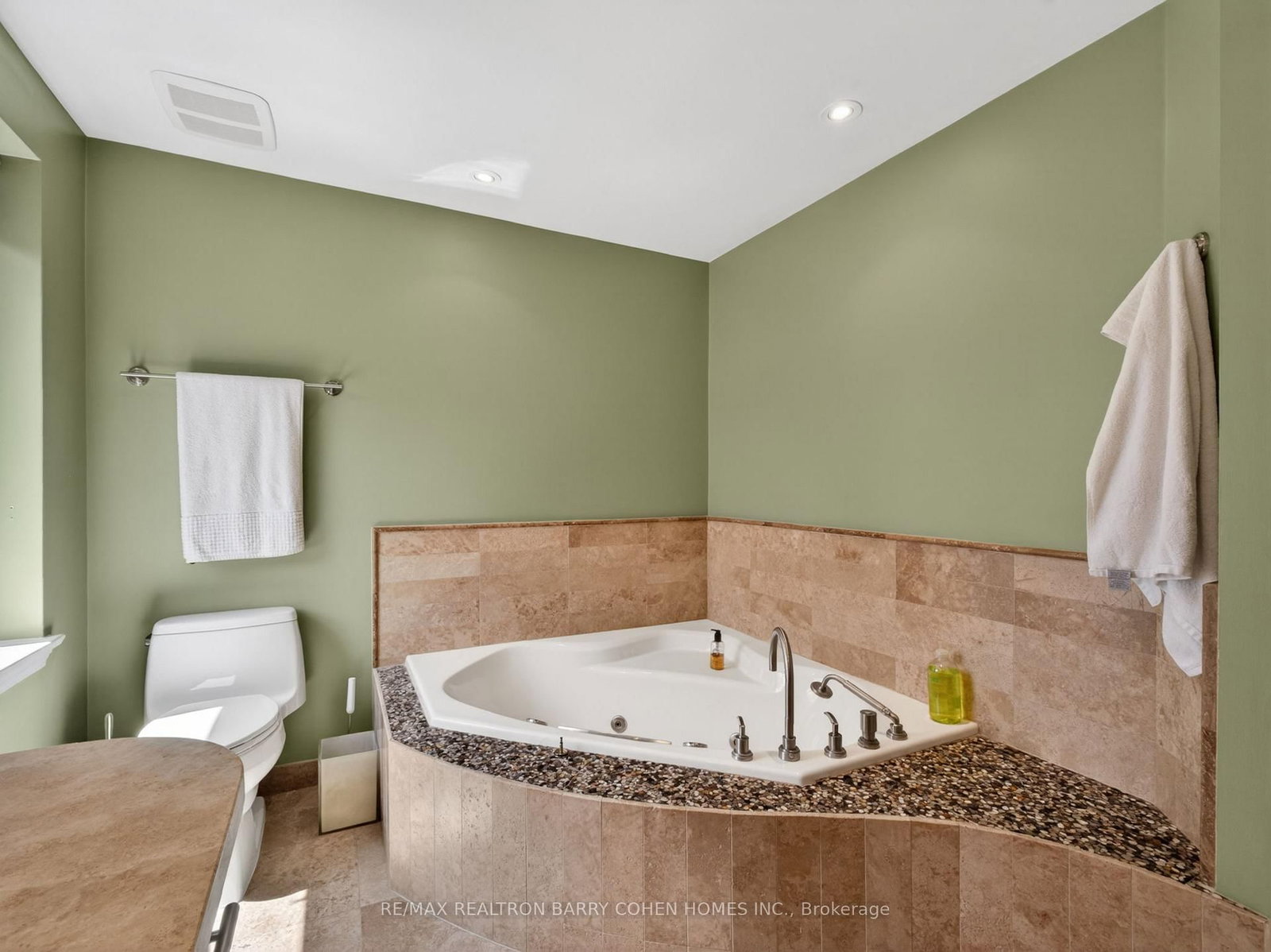 19 Saintfield Avenue • Toronto, ON photo 21