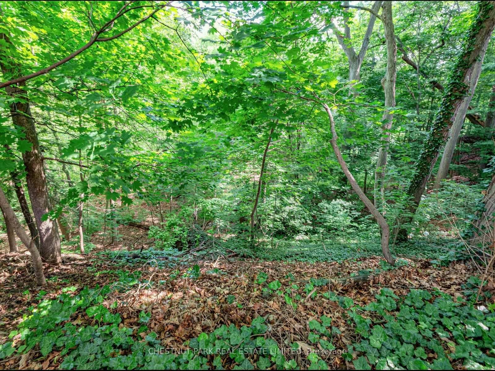 143 Mildenhall Road • Toronto, ON photo 19