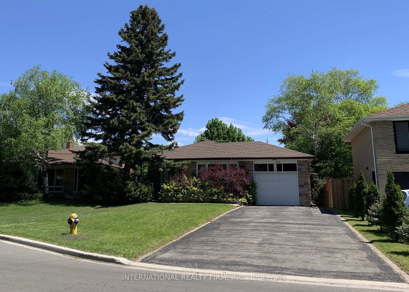 66 Dewlane Drive