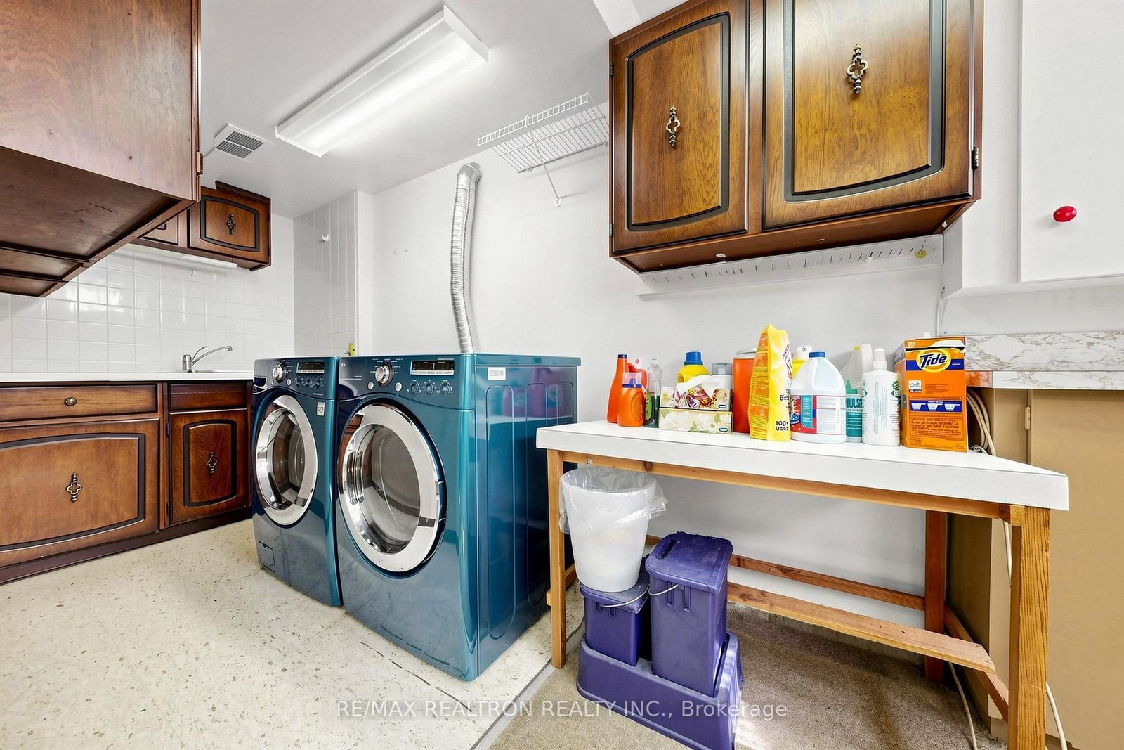 123 Francine Drive • Toronto, ON photo 37
