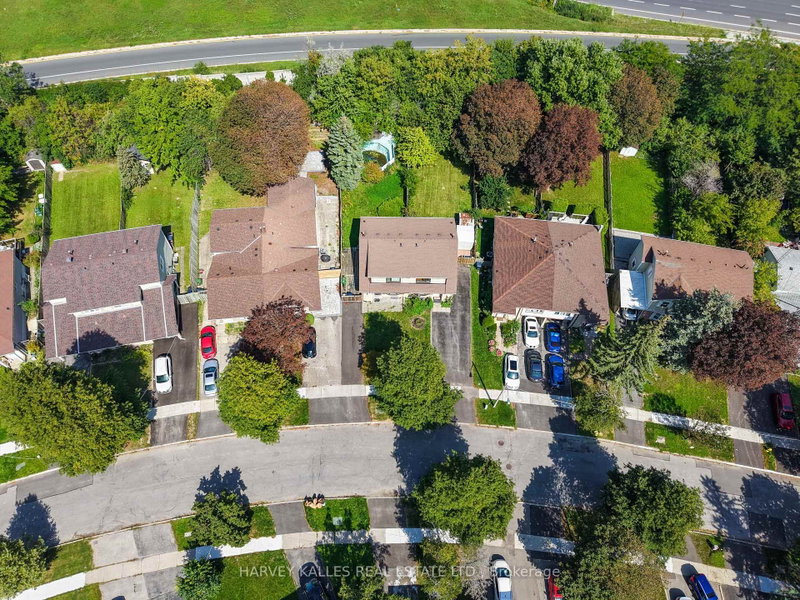 225 Hollyberry Trail