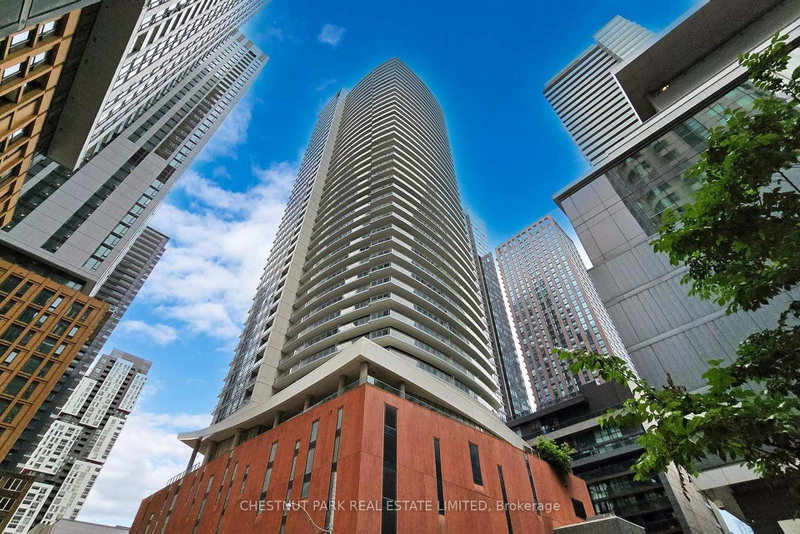 21 Widmer St photo 2