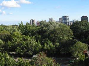 506 - 18 Merton St, Toronto, M4S3G9 | Image 2