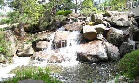 513 - 1210 Don Mills Rd, Toronto, M3B3N9 | Image 3