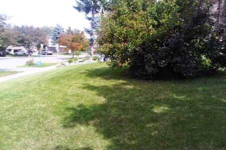 239 Pineway Blvd, Toronto, M2H1B5 | Image 2