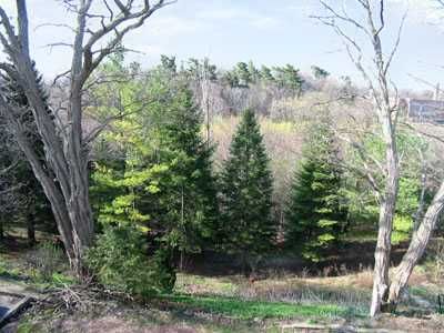 Semi-Detached House leased at Upper-99 Chatsworth Drive, Toronto, Ontario, M4R1R8 - Lawrence Park South - MLS: C2309064