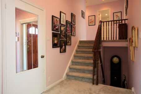 159 Cocksfield Ave, Toronto, M3H3T4 | Image 2