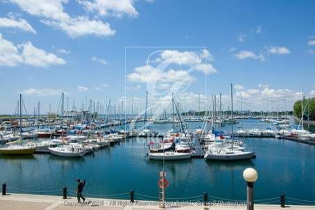 335 - 32 Stadium Rd, Toronto, M5V3P4 | Image 2