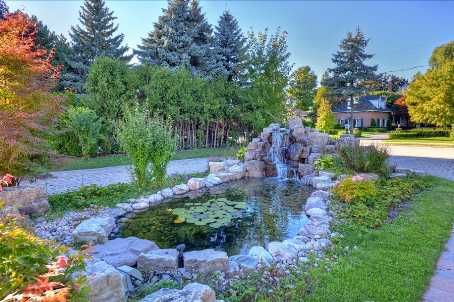 17 Truman Rd, Toronto, M2L2L4 | Image 2