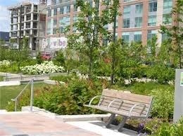 1009 - 100 Western Battery Rd, Toronto, M6K3S2 | Image 3