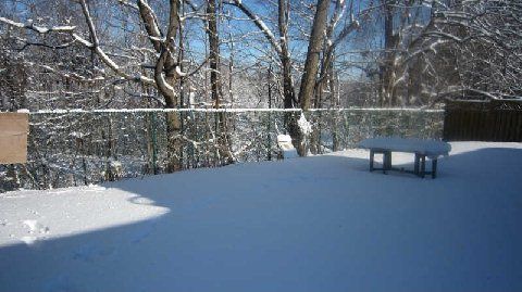 122 Hove St, Toronto, M3H4Z7 | Image 3