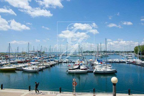 335 - 32 Stadium Rd, Toronto, M5V3P4 | Image 2