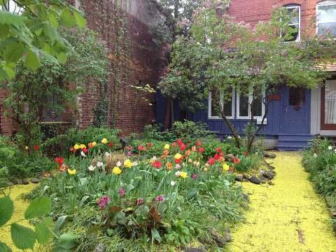 Image 15