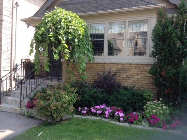 159 Roe Ave, Toronto, M5M2J1 | Image 2