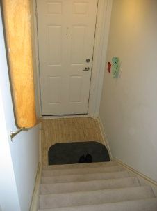 5 - 217 St George St, Toronto, M5R2M2 | Image 2