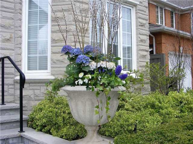 50 Yorkminster Rd, Toronto, M2P1M3 | Image 2