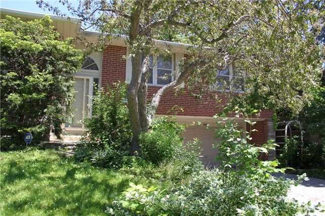 145 Fenn Ave, Toronto, M2P1X8 | Image 3