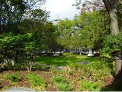 804 - 63 St Clair Ave W, Toronto, M4V2Y9 | Image 3