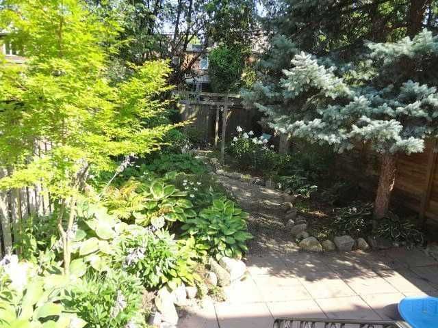 Image 13