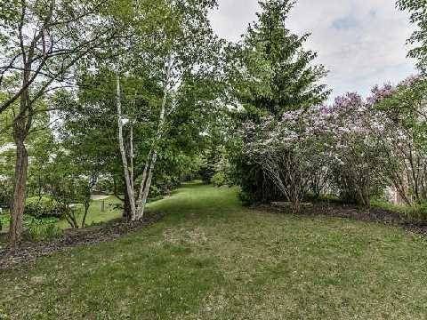 6 Crimson Millway, Toronto, M2L1T6 | Image 2